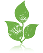 eco